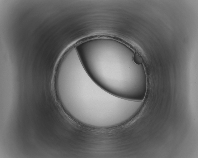 X0000112720880200908200944