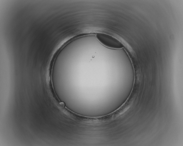 X0000112720885200908200944