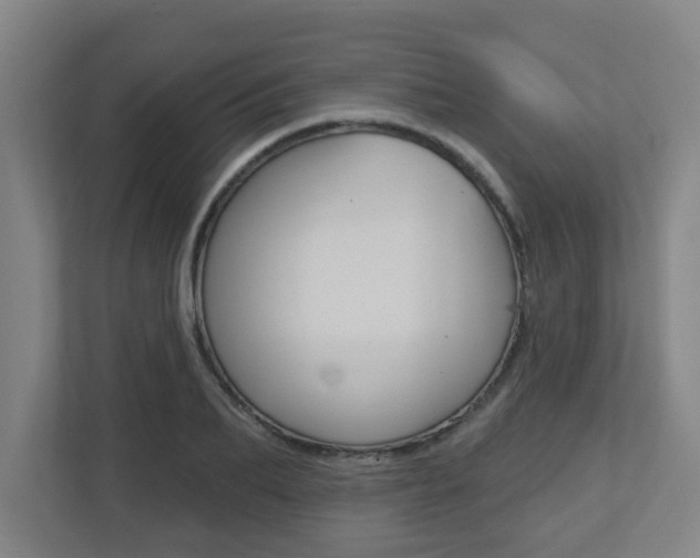 X0000112720887200908200944