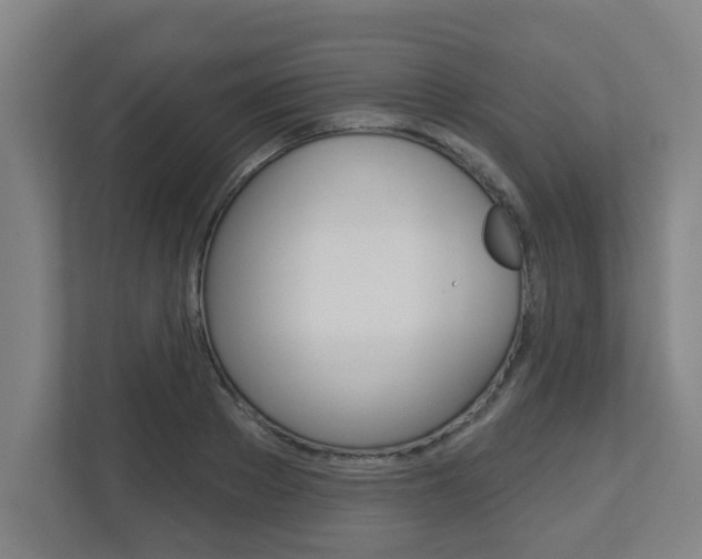 X0000112720889200908200944