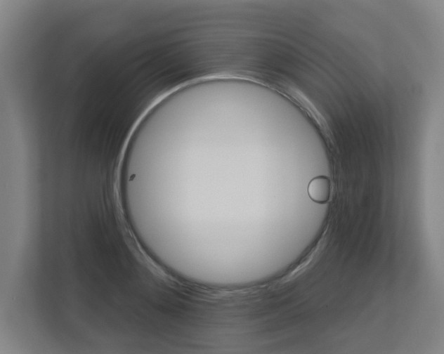 X0000112720892200908200944