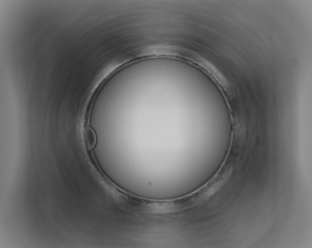 X0000112720893200908200944