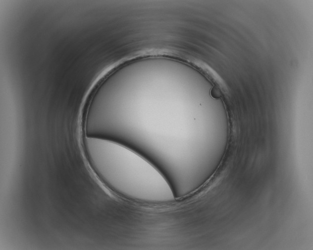 X0000112720894200908200944