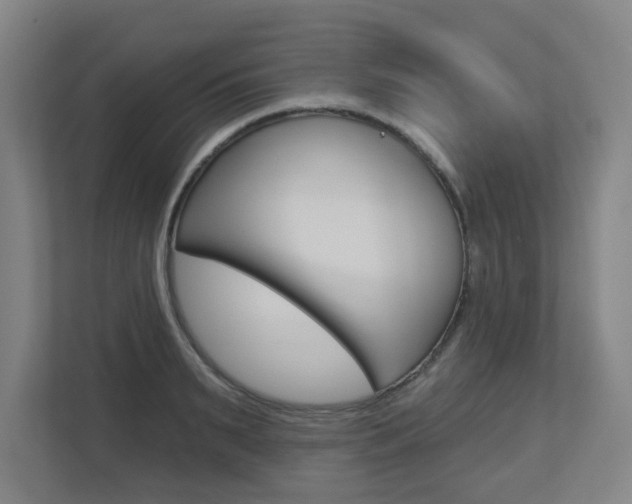 X0000112720895200908200944
