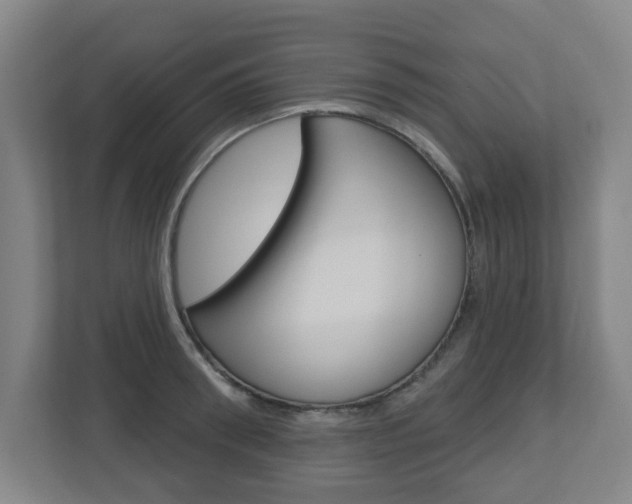 X0000112720898200908200944