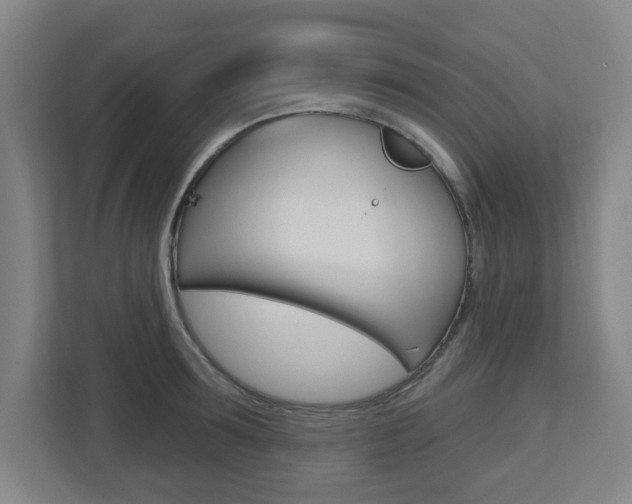 X0000112720899200908200944
