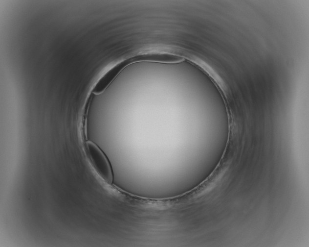 X0000112720901200908200944