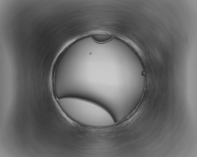 X0000112720902200908200944