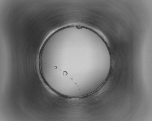 X0000112720903200908200944