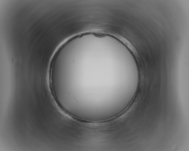 X0000112720904200908200944