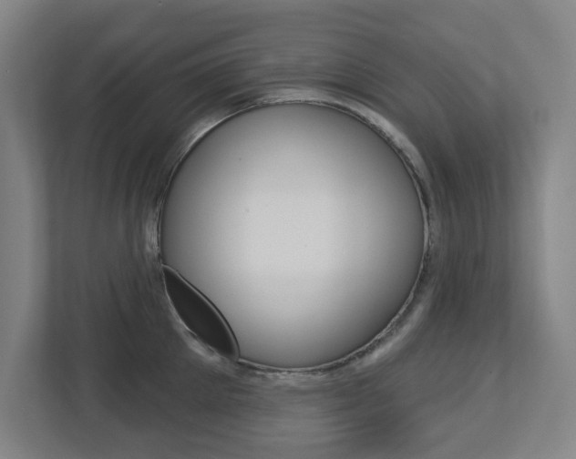 X0000112720905200908200944