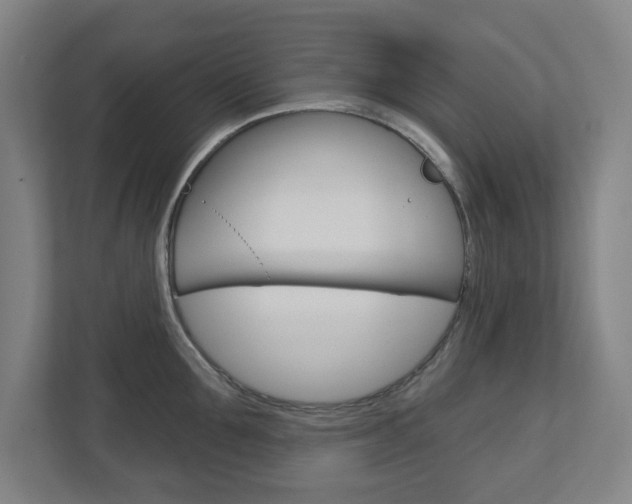 X0000112720907200908200944