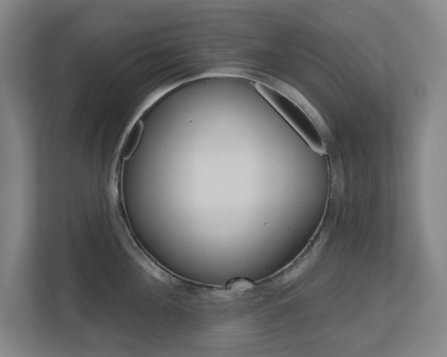 X0000112720908200908200944