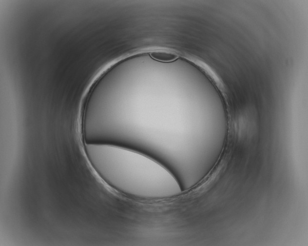 X0000112720910200908200944