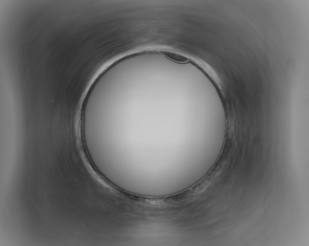 X0000112720911200908200944