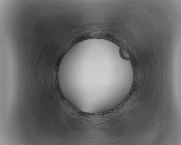 X0000112720914200908200943