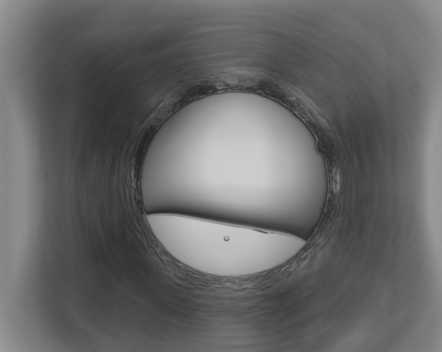 X0000112720915200908200943