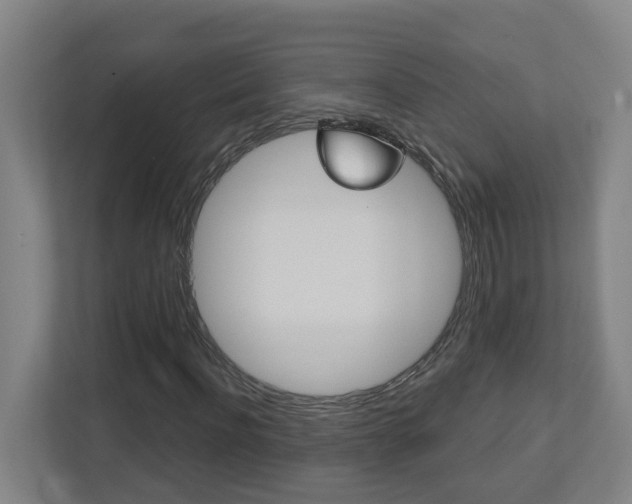 X0000112720916200908200943