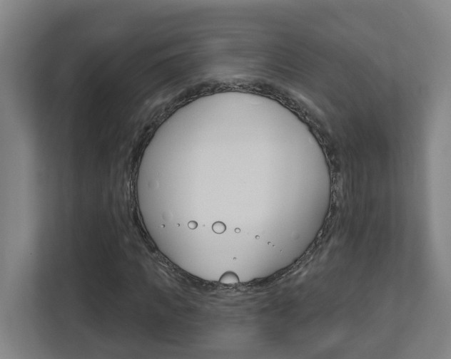 X0000112720917200908200943