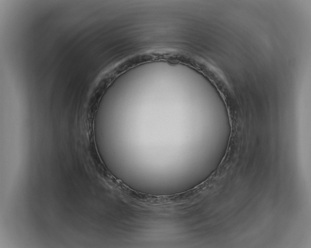 X0000112720920200908200943