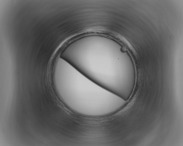 X0000112720923200908200943