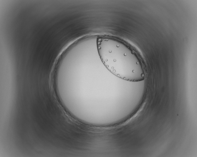 X0000112720925200908200943