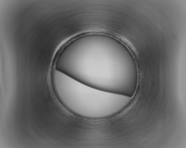 X0000112720928200908200943