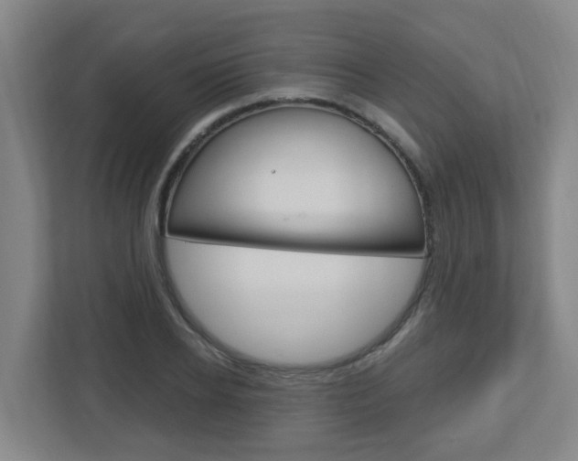 X0000112720934200908200944
