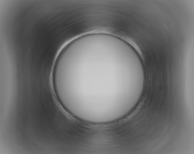X0000112720936200908200944