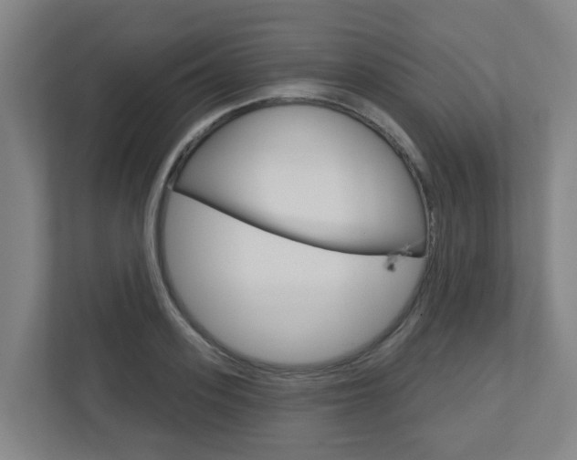 X0000112720939200908200944