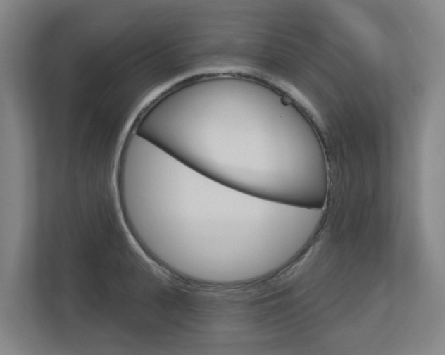 X0000112720943200908200944