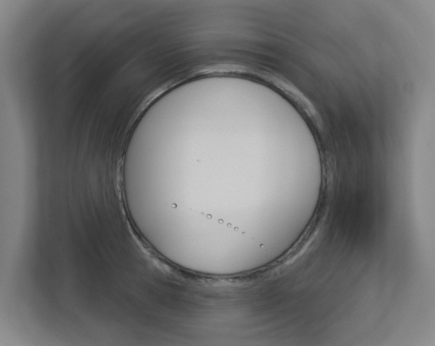X0000112720945200908200944
