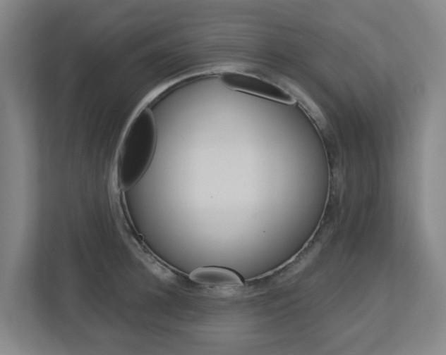 X0000112720948200908200944