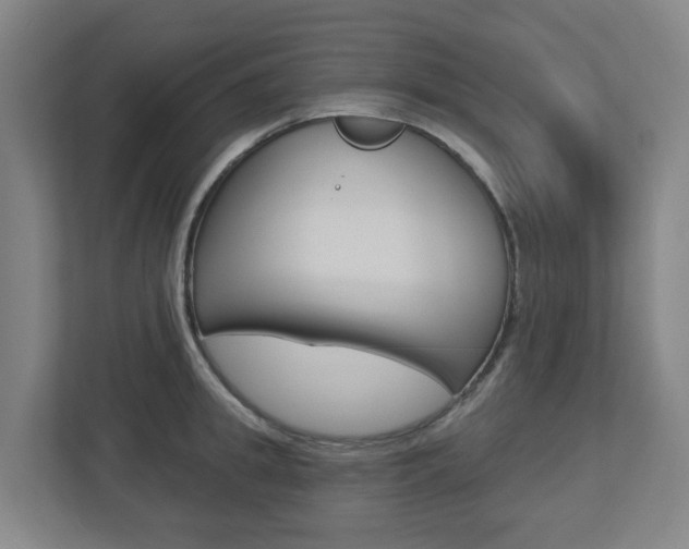 X0000112720949200908200944