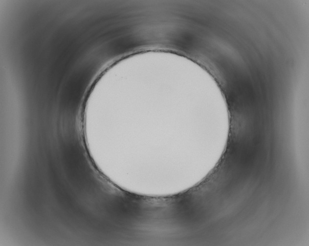 X0000112720950200908200944