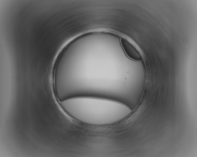 X0000112720951200908200944