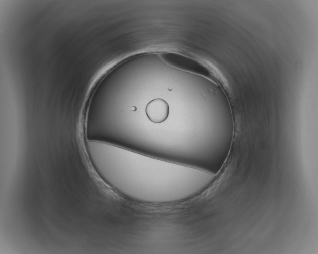 X0000112720952200908200944