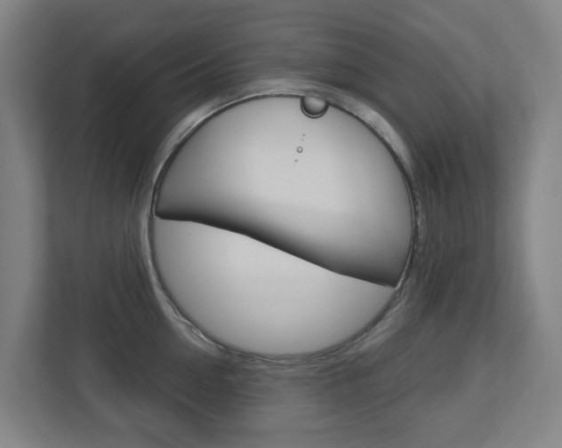 X0000112720954200908200944