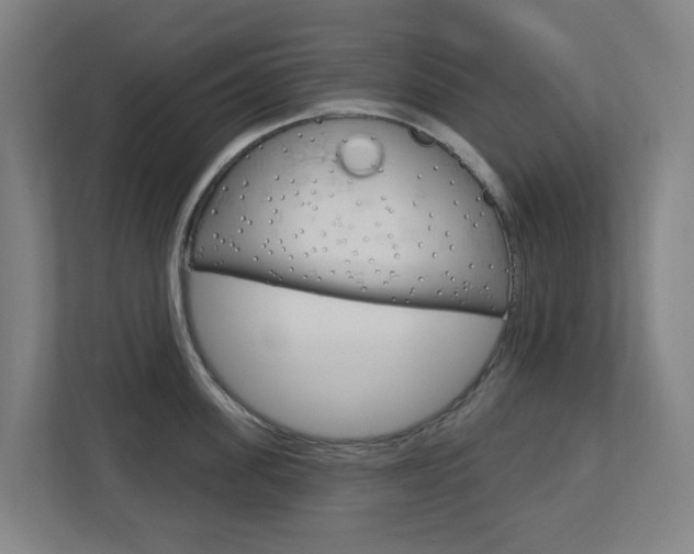 X0000112720955200908200944