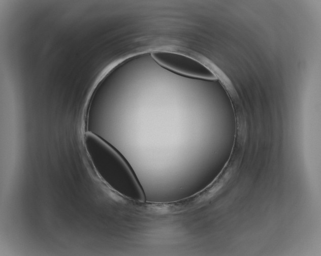 X0000112720956200908200944