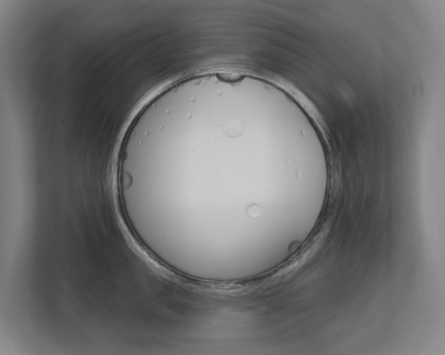 X0000112720957200908200944