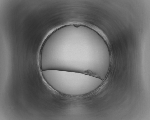 X0000112720958200908200944
