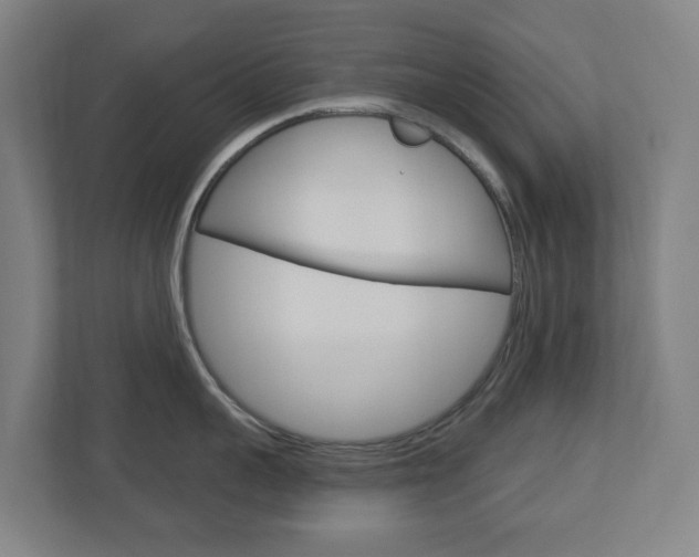 X0000112720959200908200944