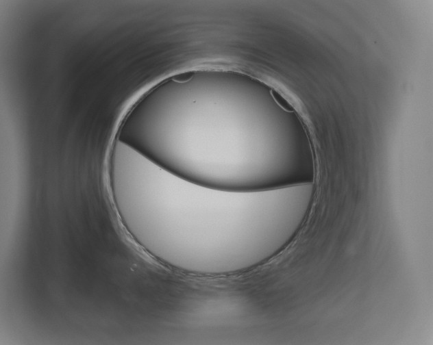 X0000112720960200908200944