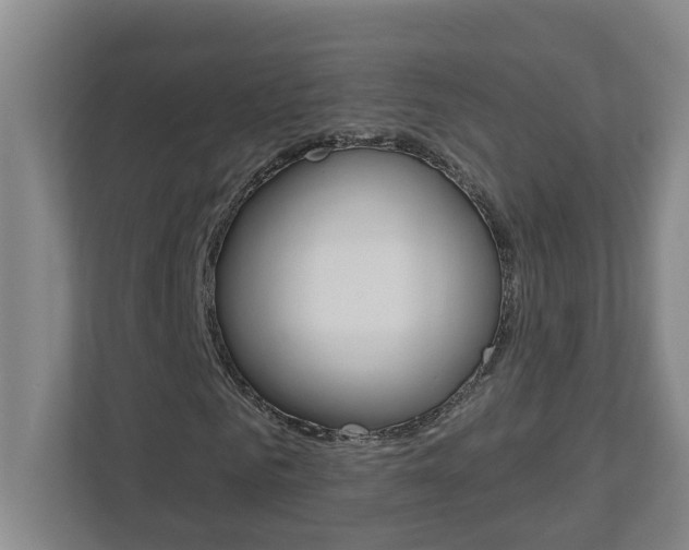 X0000112720961200908200943