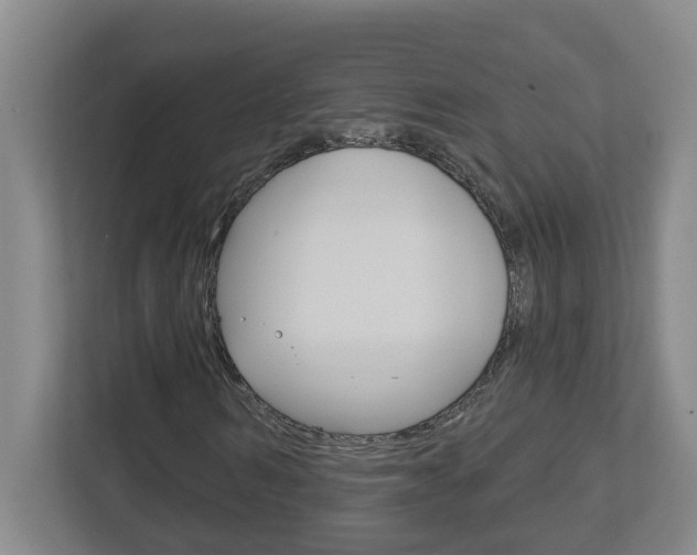 X0000112720962200908200943