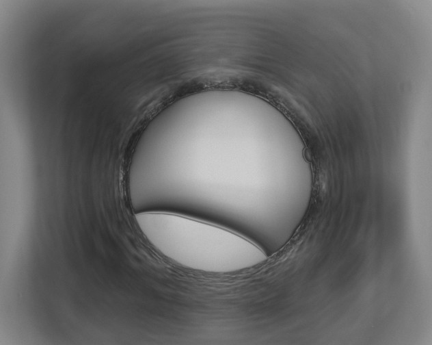 X0000112720964200908200943