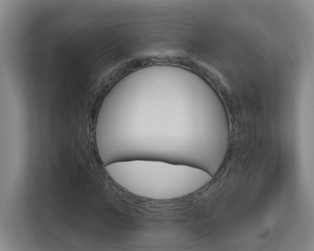 X0000112720966200908200943