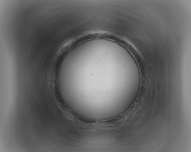X0000112720967200908200943
