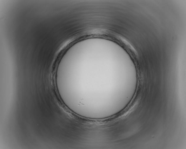 X0000112720970200908200943